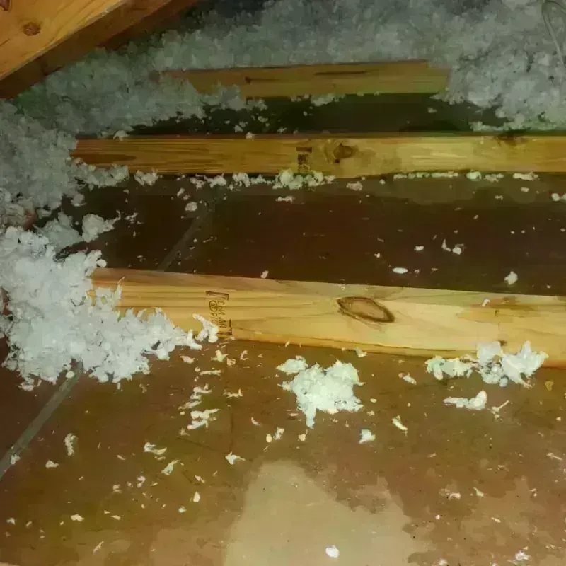 Attic Water Damage in Windsor Locks, CT